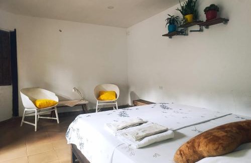 Palomino Casa | Hermoso Palomino