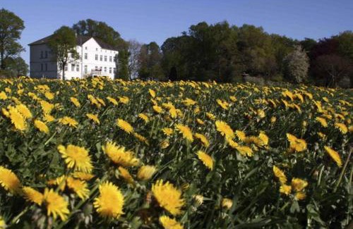 Blengow Apartamento | Herrenhaus Blengow App.15