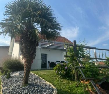 Videm Casa | Hiška pri brajdah