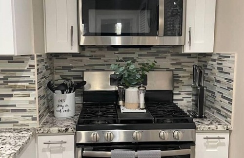 Dudley - Brunswick King Apartamento | Hidden Gem 2 BR/1BA near Zoo 3 mil downtown Fenway