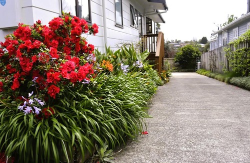 Tauranga Apartamento | Hidden Gem for business traveller's