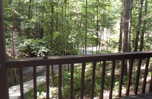 Unaka Chalet De Esquí | Escondite Chalet en Lake Hiwassee Bear Paw