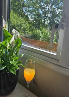 Higher Walton Otro | Hideaway Ribble Valley