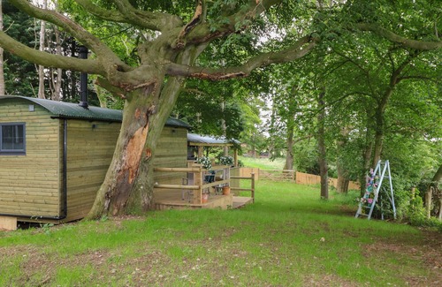 Wing Cabaña | High Rigg Shepherd's Hideaway