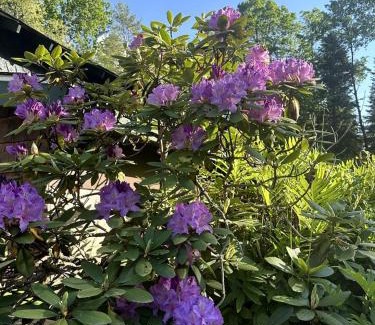 Lake Placid Casa | Hike & Ski Hideaway @ Lake Placid, NY