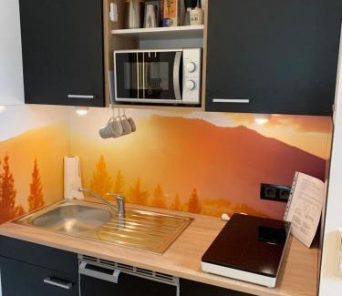 Hinterstoder Apartamento | Hike & Ski-in Ski-out Mountain View Apartment for Family & Friends