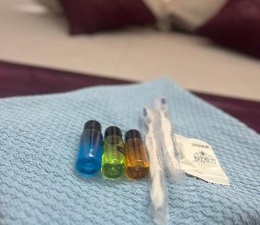 Aadit Casa | Hill side Lavender