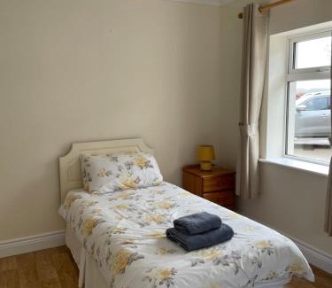 Ballinamuck Apartamento | Hillside House- Pine View