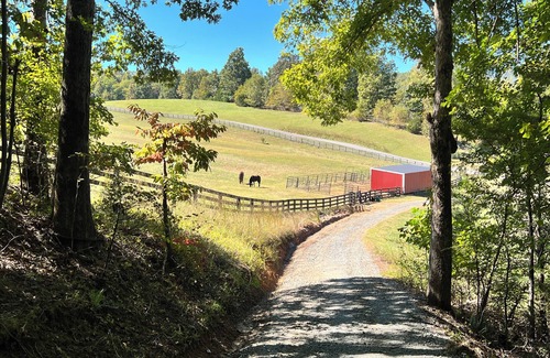 Rutherfordton Cabaña | Hilltop Private Tiny Chalet on a Large Farm. Tryon Equestrian. Starlink WiFi.