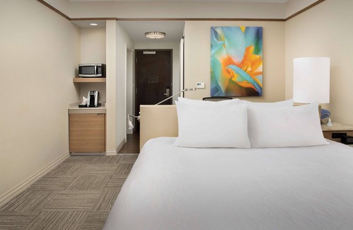 Charlotte Hotel | Hilton Garden Inn Charlotte Airport