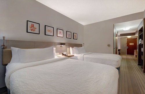 Oldsmar Hotel | Hilton Garden Inn Tampa Northwest/Oldsmar