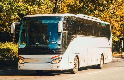 Lake Buena Vista Complejo | Hilton Orlando Buena Vista Palace - Disney Springs Area