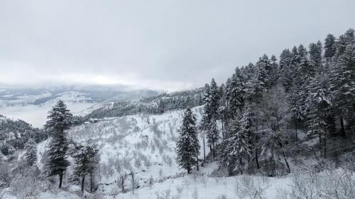 Jubbal Casa | Himalayan Gypsie Homestay