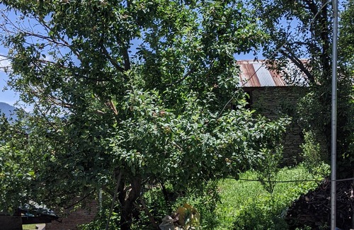 Hatkoti Casa | Himalayangypsie homestay