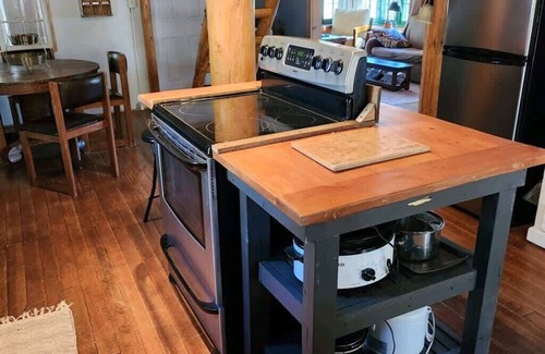 Pine Cabina | Historic Pine Cabin | 45min to Denver | Pets OK