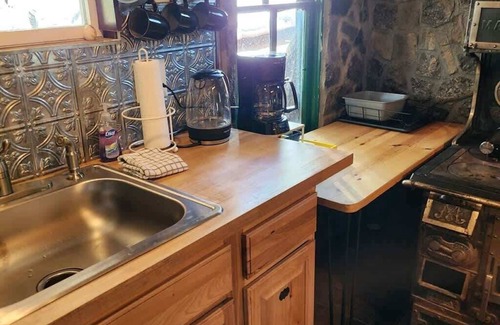 Pine Cabina | Historic Pine Cabin | 45min to Denver | Pets OK