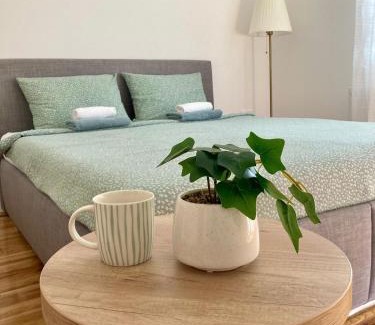 Inija Apartamento | HM Apartments