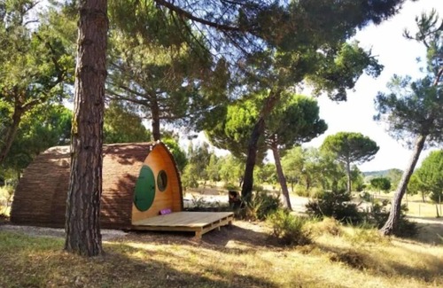 Vale de Mulheres Casa | Hobbit House - Quinta Alada
