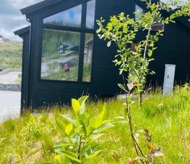 Sogndal Casa | Hodlekvevegen 308 - Flott hytte midt i skisenteret