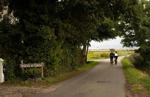 Schoorl Cama Y Desayuno | Hoeve te Gast - vakantieboerderij