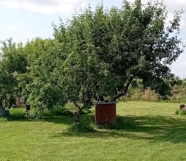 Wittendorp Apartamento | Hof Baethcke