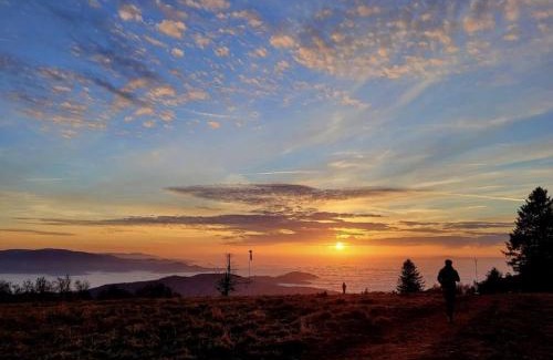 Sankt Peter Casa | Holiday apartment in St Peter with balcony