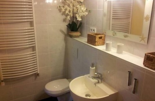 Mainz-Bingen Apartamento | Apartamento de vacaciones Oberdiebach para 1 - 2 personas con 1 dormitorio - Apartamento