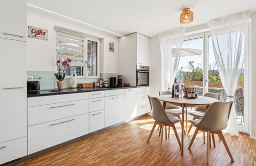 Brugg Apartamento | Apartamento de vacaciones Umiken para 1 - 4 personas - Apartamento en casa unifamiliar o plurifamili