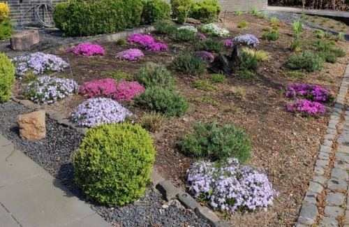 Wardt Apartamento | Holiday apartment Xanten South Sea Apartment 1