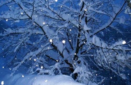 Skrad Casa | Holiday Home Coprnička Hiša