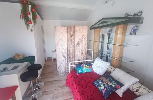 Idanha-a-Nova Apartamento | Casa de Vacaciones 'Courtyard T0 Studio'