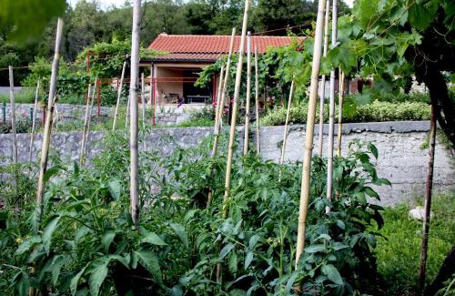 Karuc Casa | Holiday Home Gazevic