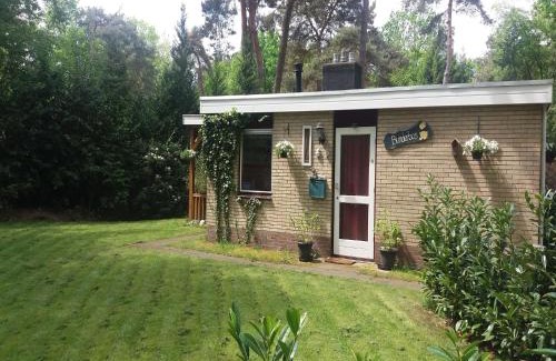 Hoogengraven Casa | Holiday Home in Arriën near Beerze Nature