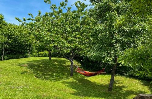 Brod Moravice Casa | Holiday Home Maklen by Interhome