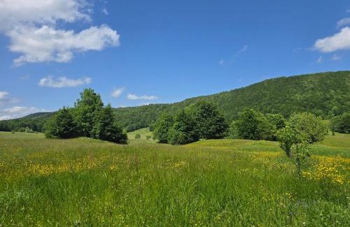 Mrkopalj Casa | Holiday home Margherita