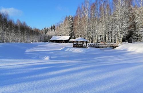 Skangali Casa | Holiday home Migliņas