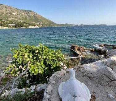 Zupa dubrovacka Apartamento | Holiday House Barka