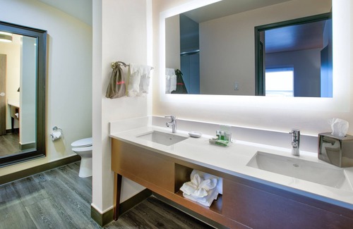 Fort Worth Hotel | Holiday Inn DFW South by IHG