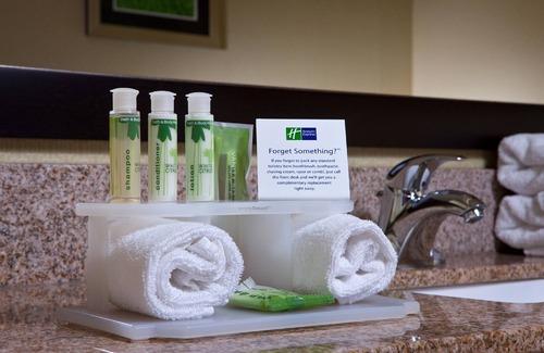 Saginaw Hotel | Holiday Inn Express Hotel & Suites Saginaw by IHG