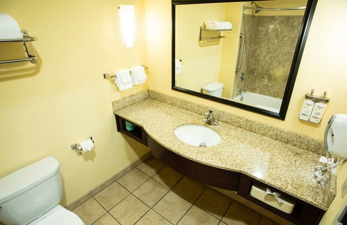 Mechanicsburg Hotel | Holiday Inn Express Hotel & Suites Harrisburg West by IHG