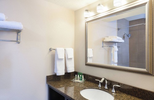 Metairie Hotel | Holiday Inn Metairie New Orleans by IHG