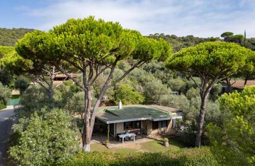 Castiglione della Pescaia Casa | Holiday Home Villa Anna by Interhome