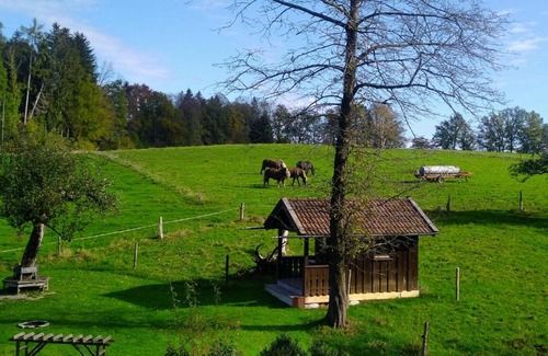 Konigsdorf Apartamento | Holzer-Hof