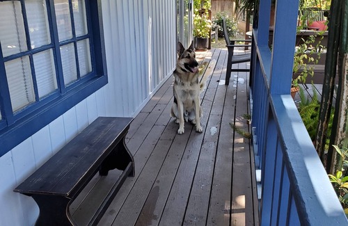 Carmel Valley Casa | Home available with dog allowed (fenced yard)