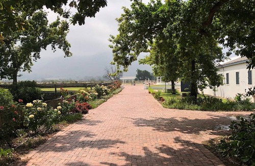 Paarl Casa | Casa en los viñedos en una finca ecuestre llena de horas tranquilas