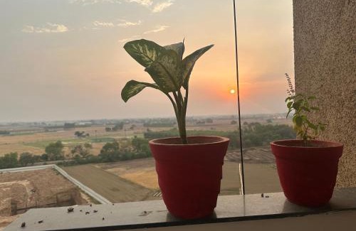 Mohali Casa | Home Stay Like Home