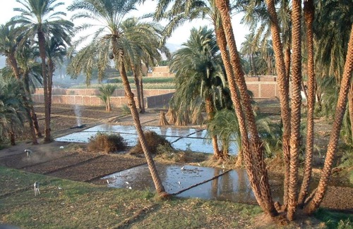 Luxor Apartamento | Home Sweet Home Luxor Apartments