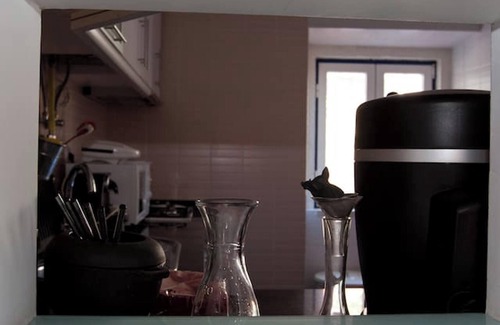 Santos Apartamento | Homerez - Apto en Lisboa, centro