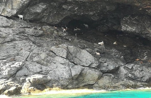 Campo nell'Elba Casa | Homerez - Casa cómoda en La Pila con terraza y estacionamiento