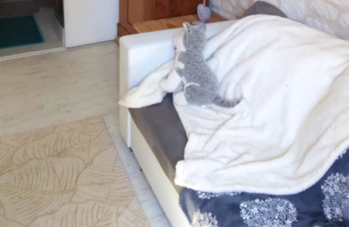 Courchamps Casa | Homerez - Nice property for 3 ppl. with terrace and balcony at Courchamps